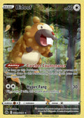 SWSH: Crown Zenith: Galarian Gallery #GG29/GG70 Bidoof NM A3-3