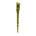 Fantasy Gifts: Greenman Magic Wand